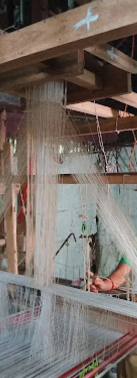 Warp threads on a traditional frame loom