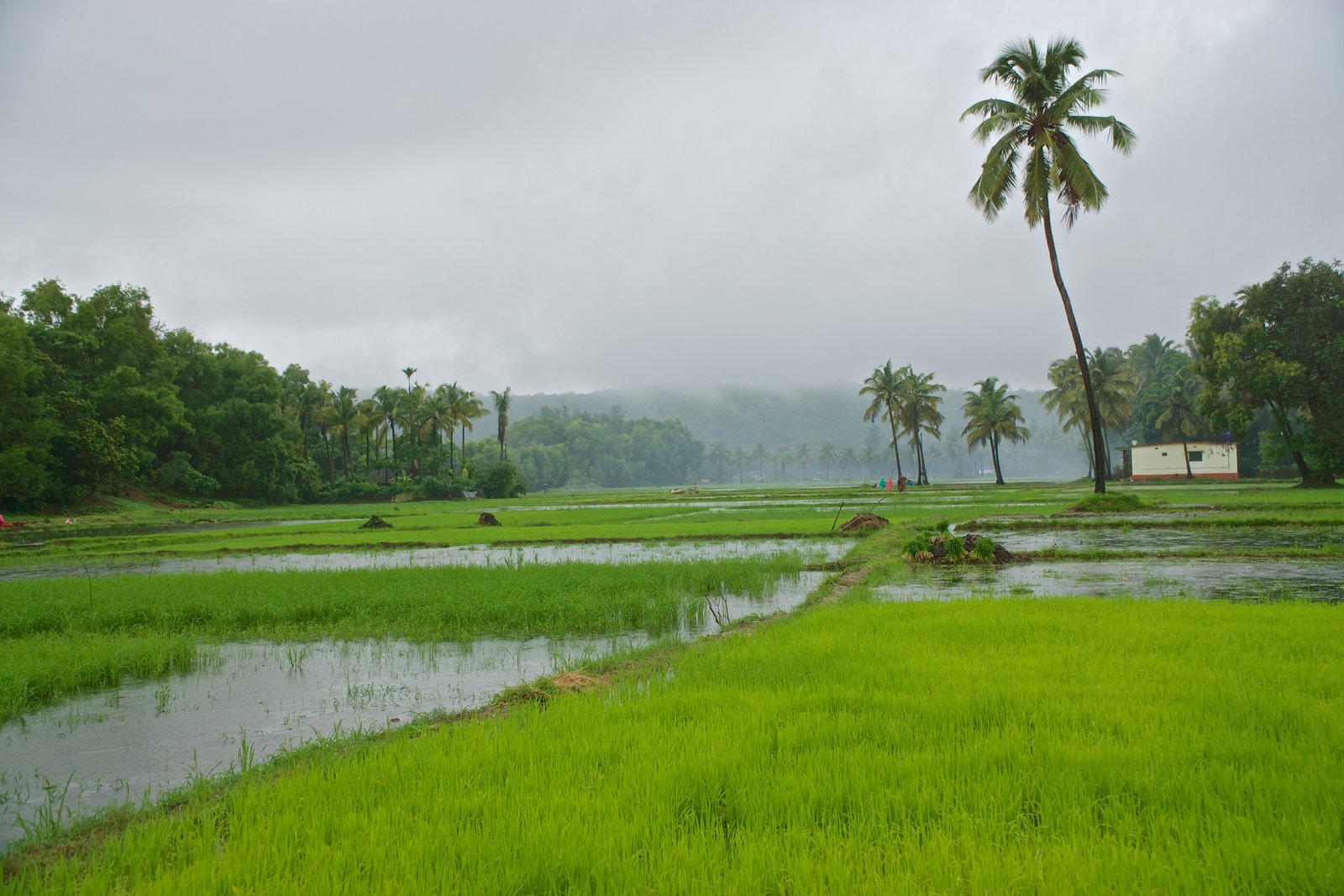 Karnataka